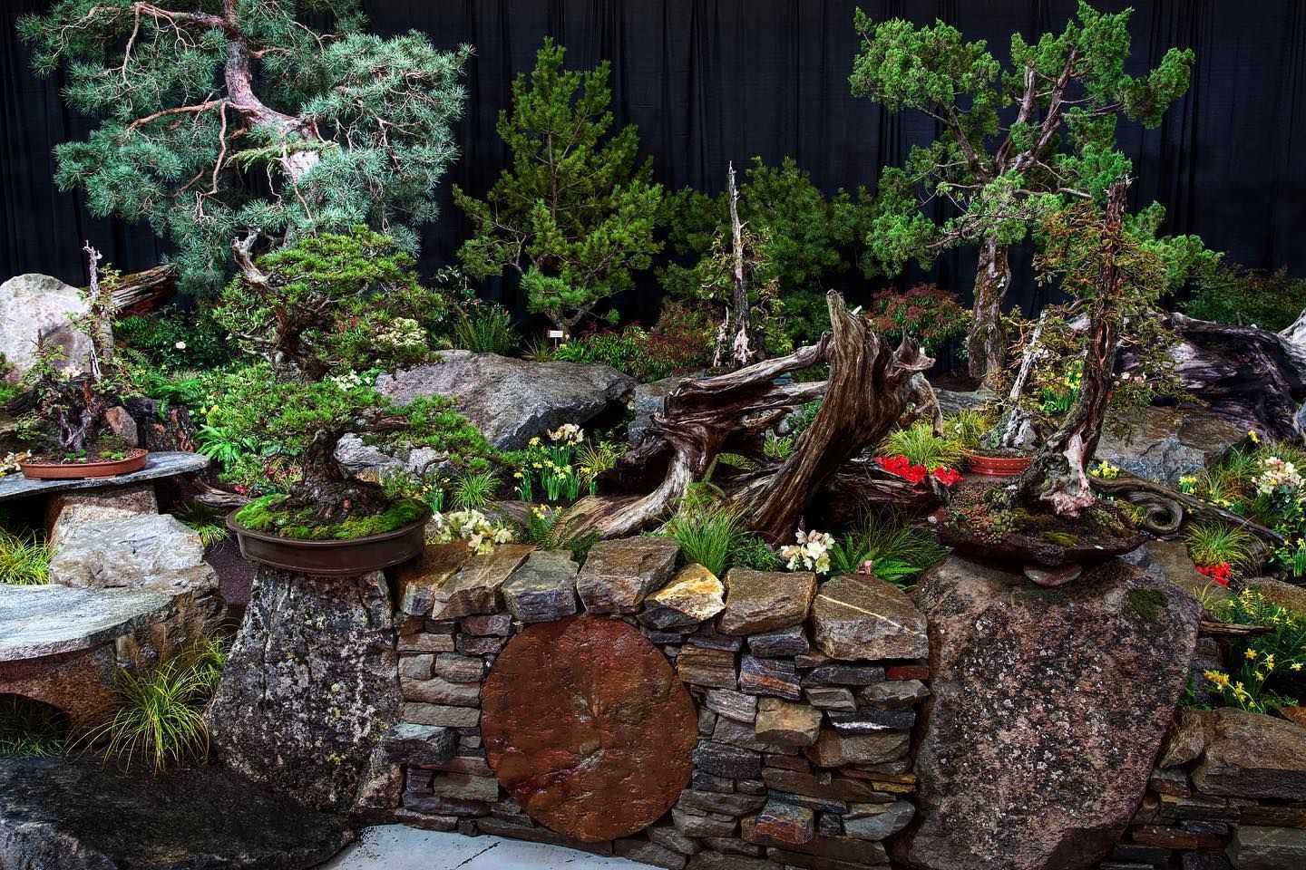 Miniature bonsai garden with lush green trees, rocks, and a small stone waterfall against a dark backdrop