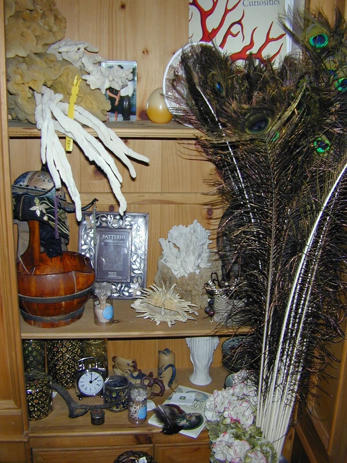 Decorative shelf with seashells, peacock feathers, small objects, and dried flowers in a cozy room