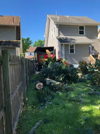 Tree removal in a yard; wood chipper and cut branches visible. Houses and fence in the background.