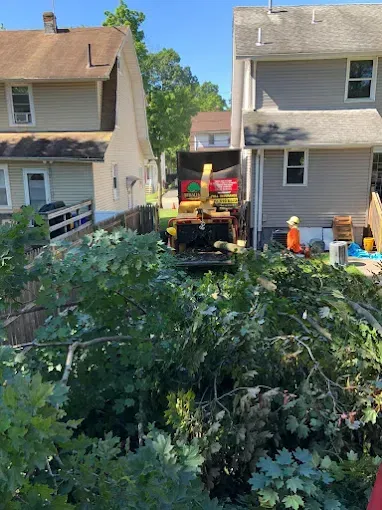 Tree branches being fed into a wood chipper truck between two houses.