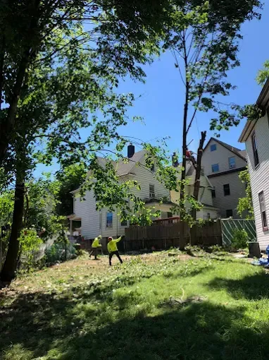 Two workers in yellow vests clearing a grassy area with houses and a clear blue sky.