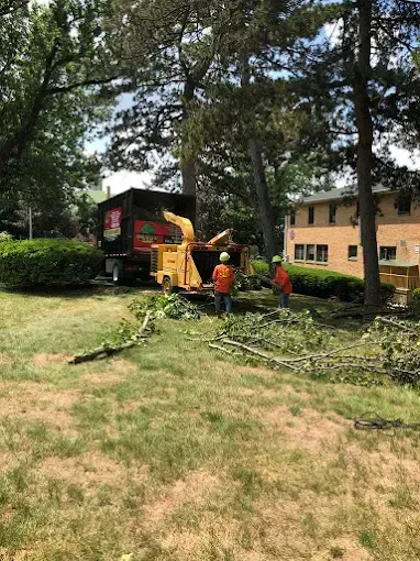 Two workers chip tree branches with a wood chipper in a yard, truck nearby.