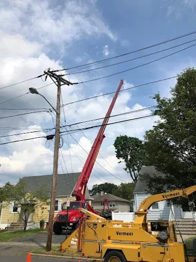 Red crane truck trimming tree branches near power lines; yellow wood chipper on the ground.