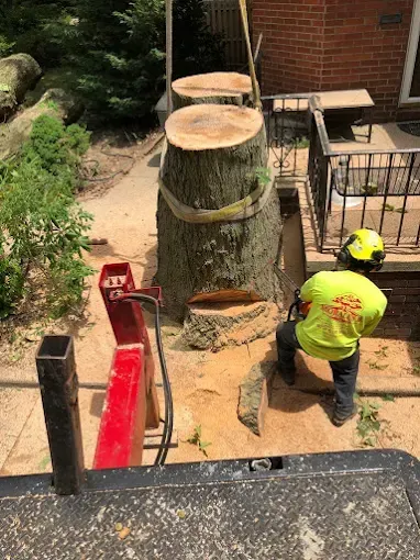 A person cutting a tree stump with a chainsaw next to a house.