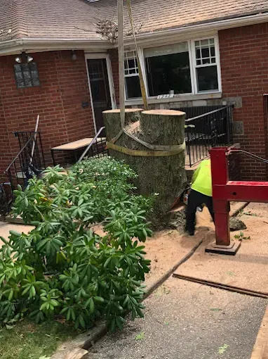 A large tree trunk being lifted near a brick building. A person in a yellow vest works near the trunk.