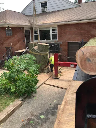 A large tree trunk being lifted by a crane near a brick building; worker in safety vest.