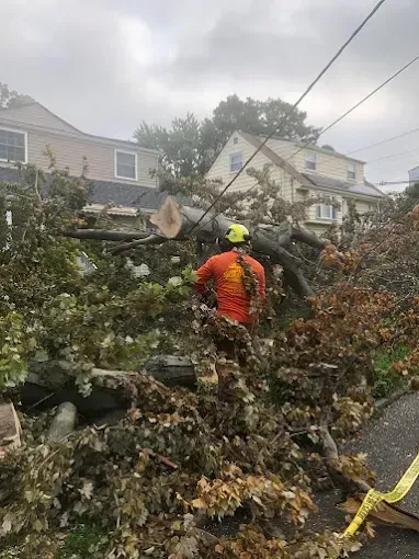 Man in orange shirt and yellow helmet cutting a fallen tree from power lines in front of two houses.
