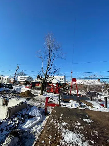 Construction site with snow, bare tree, red equipment, houses under a blue sky.