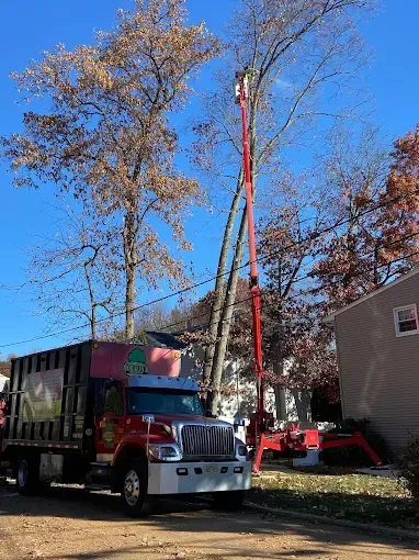 Tree service truck with extended lift trimming a tree on a sunny day next to a house.