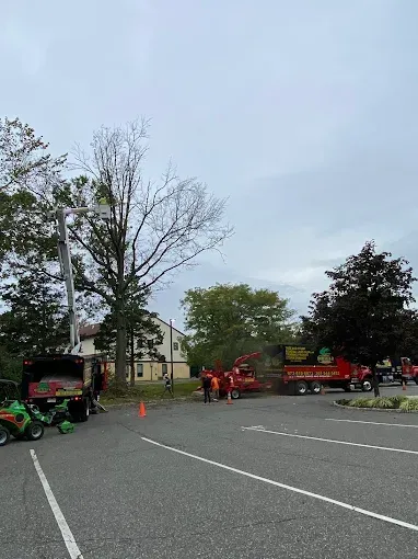 Tree trimming crew and equipment in a parking lot under a cloudy sky.