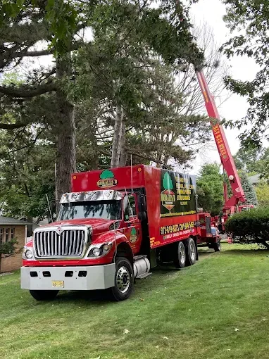 Red tree service truck with extended lift trimming a tall tree in a residential yard.