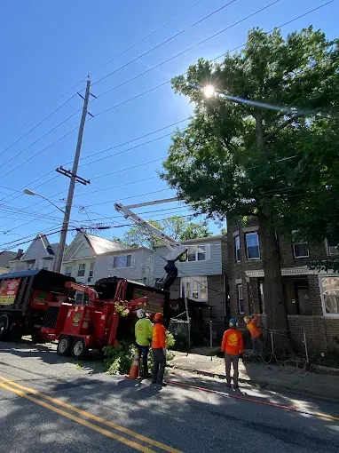 Tree trimming crew with truck and lift near houses and power lines on sunny day.