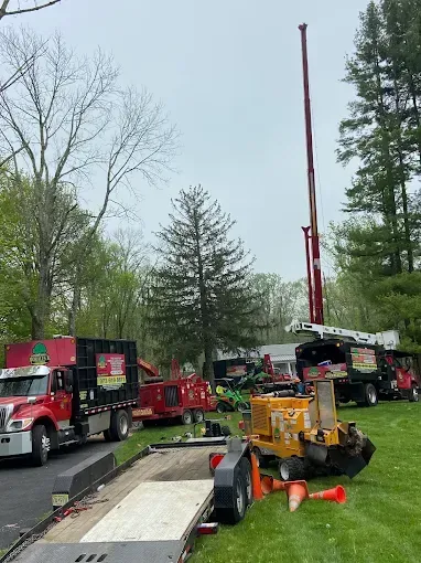 Tree removal crew with trucks, wood chipper, and lift on a lawn.