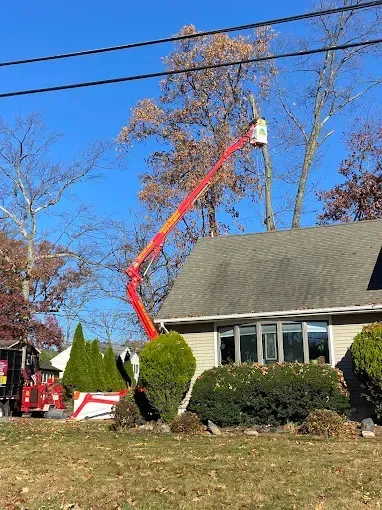 Red cherry picker trimming a tree near a house, under a blue sky.