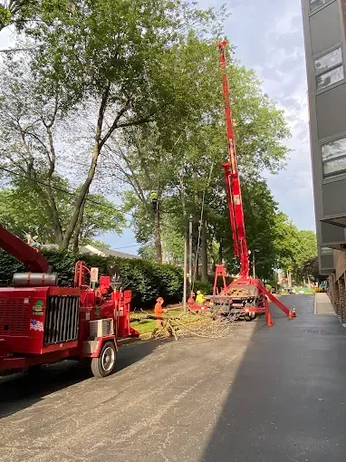 Tree removal: red crane and wood chipper on asphalt, workers in orange vests, tree branches on the ground.