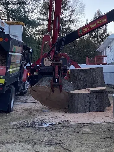 Truck with a grapple arm lifting a tree stump. Another stump and a truck with a phone number in the background.
