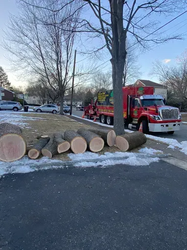 Logs on snow next to a red truck, likely after tree removal, parked on a street.