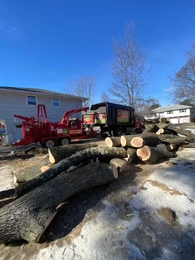 A red wood chipper and dump truck next to logs; the vehicles are parked in front of a house on a sunny day.