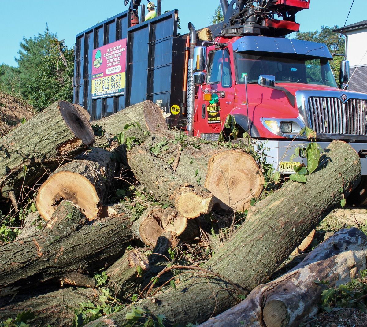 Red tree removal truck next to pile of tree logs and branches.