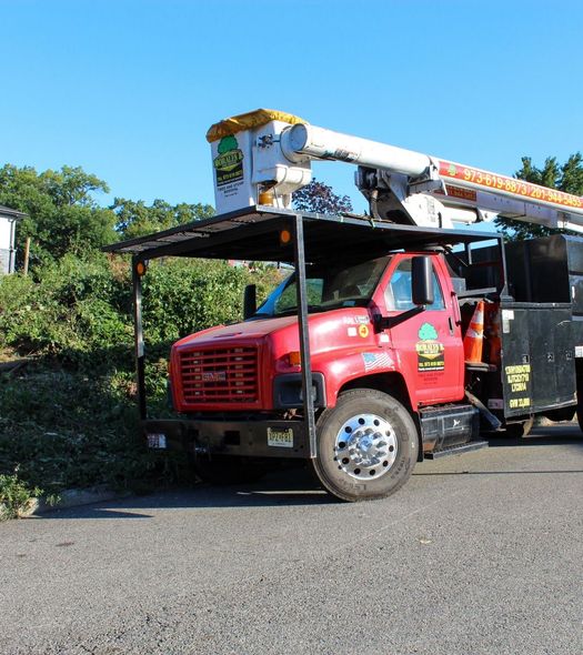 Red GMC tree service truck with extended lift, parked on pavement, blue sky.