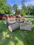 Cut logs on green grass, with trees and a red truck in the background.