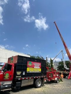 Red tree service truck with chipper; workers trimming trees with a lift under a blue sky.