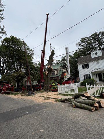 Tree removal in residential neighborhood: crane, workers, cut tree, power lines, and debris on street.