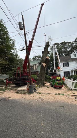 Tree removal in progress: crane, lift, and machinery near power lines and residential street.