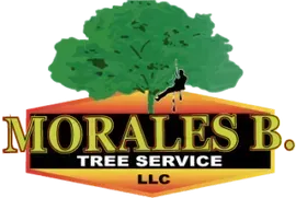 Morales B. Tree Service logo: a person climbing a tree with green foliage atop a banner.