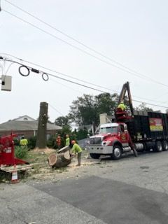 Tree removal crew working near power lines; red truck with lift, workers in safety vests, chipper.
