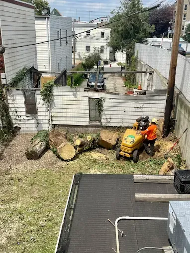 Person using a stump grinder in a backyard with cut tree trunks.