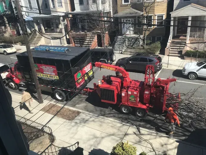 Tree service truck and chipper on a street with workers processing branches; residential neighborhood.
