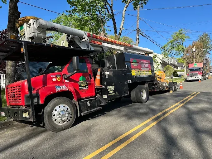 Red tree service truck with an extended lift boom parked on a street; another truck in the distance.