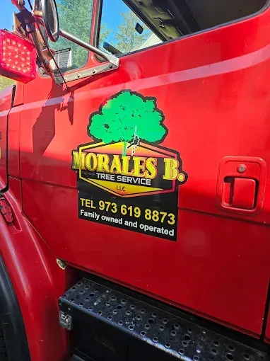 Red truck side with Morales B. Tree Service logo, including phone number and 
