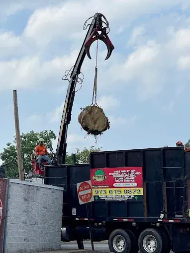 Crane lifting tree chunk into a truck. A worker in orange shirt operates the crane. Cloudy sky.