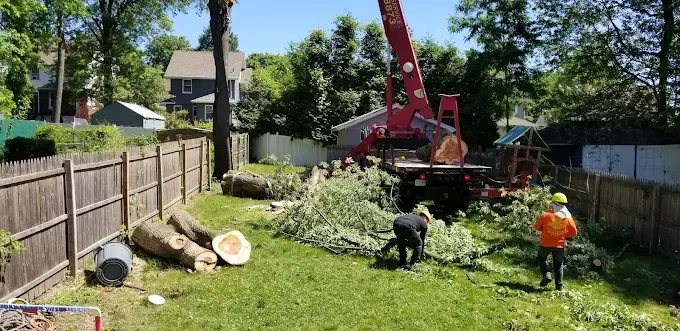 Tree removal in a backyard: A crane lifts a large log. Two workers gather branches near a wooden fence.