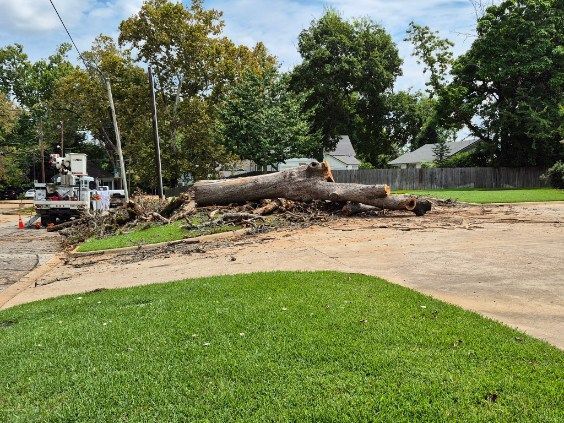 Downed tree trunk and debris across a driveway, with a green lawn and trees in the background