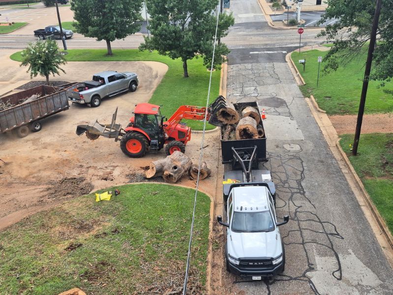 Tree-cutting cleanup with a red tractor and trailer on a street beside parked trucks and dirt piles.