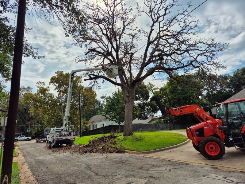 Tractor lifting a tree limb on a suburban street, with a large bare tree and work truck nearby.