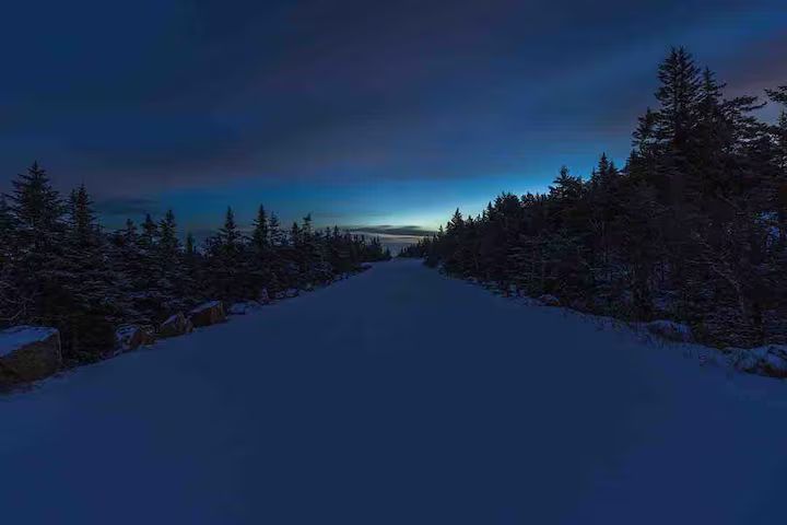 Snowy forest road at dusk under a dark blue sky, framed by trees on both sides