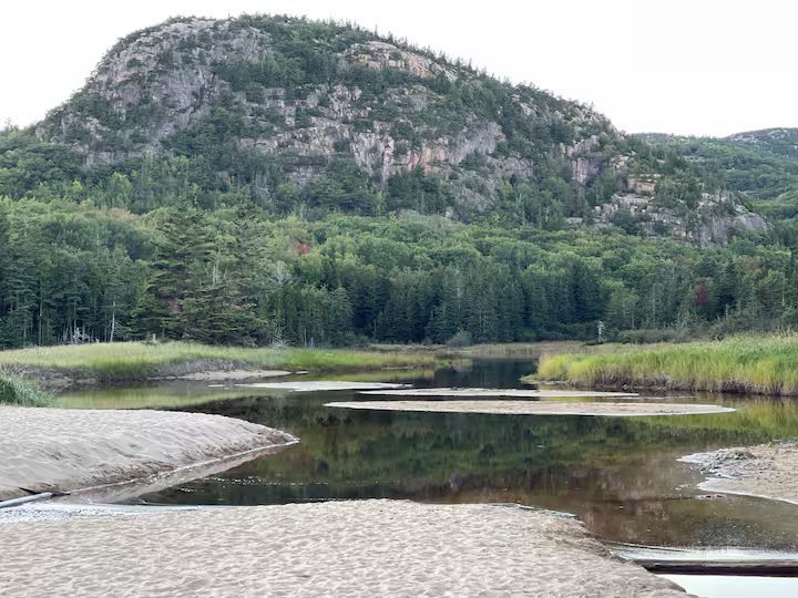 Rocky mountain above a forested lake with calm water and grassy shoreline