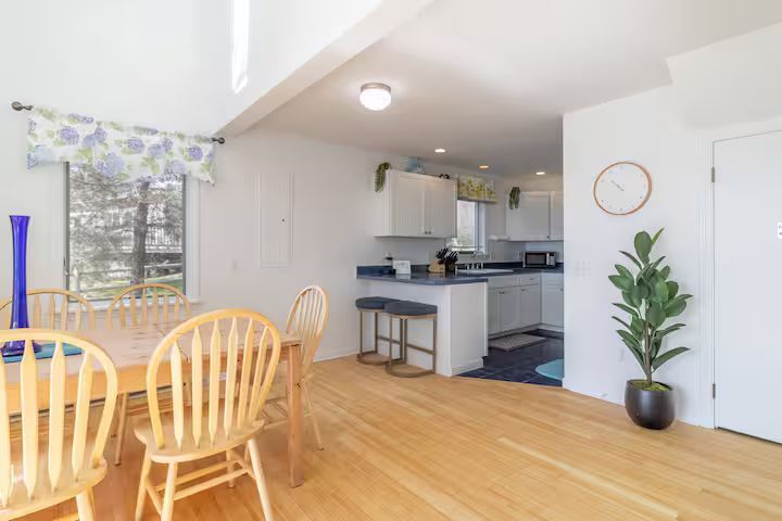 Bright open kitchen and dining area with wood floors, light wood chairs, and a potted plant