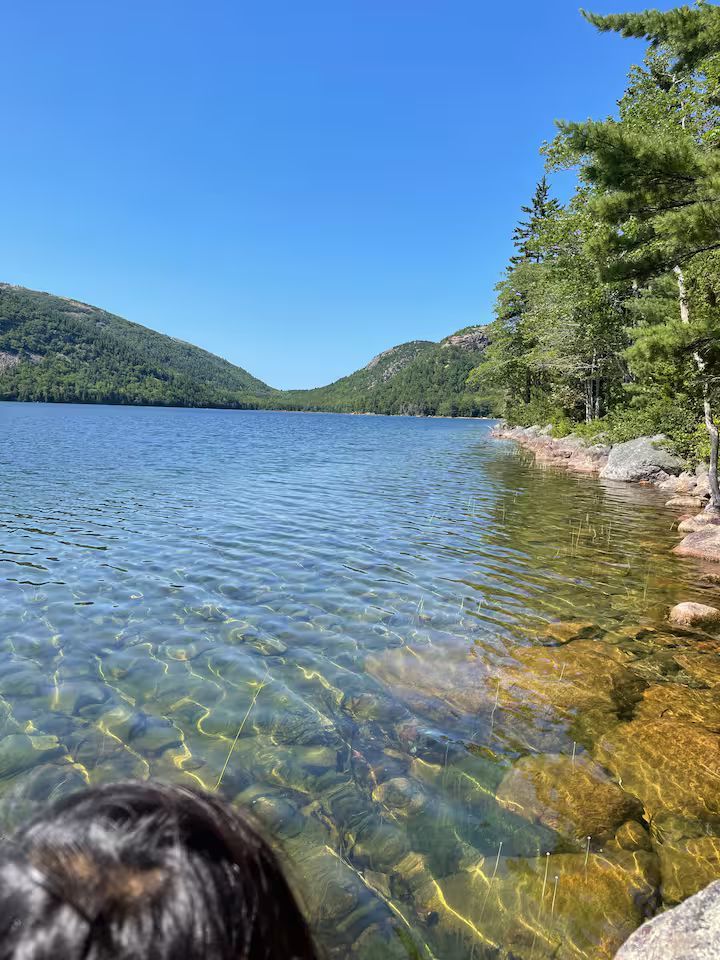 Clear lake with forested hills under a blue sky, with rocky shoreline and a person’s head in the foreground