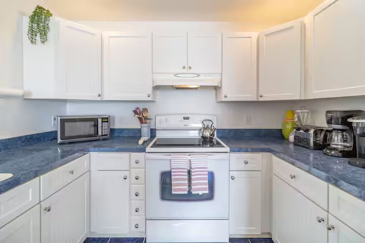 Bright white kitchen with blue countertops, stove, microwave, toaster oven, coffee maker, and hanging plant.
