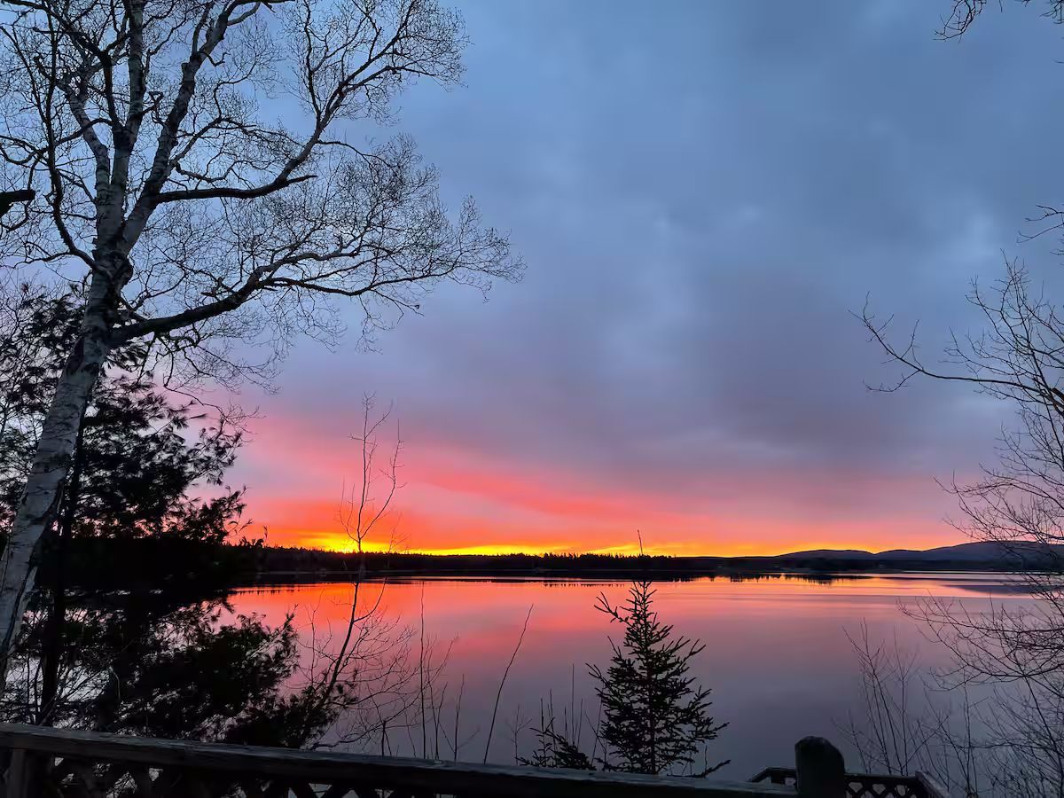 Pink sunset over a calm lake, with silhouetted trees and a cloudy blue sky