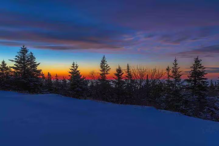 Snowy forest at sunset with dark pine trees silhouetted against a colorful orange and blue sky