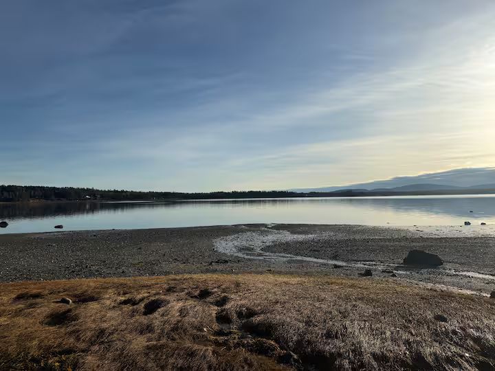 Calm lakeshore at low tide with a grassy foreground, blue sky, and distant hills at sunset