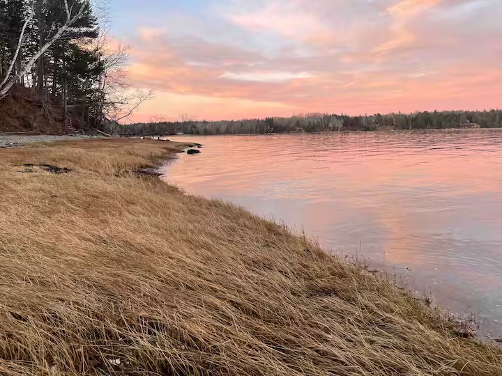 Grassy shoreline beside a calm lake at sunset, with pink clouds and trees along the water.