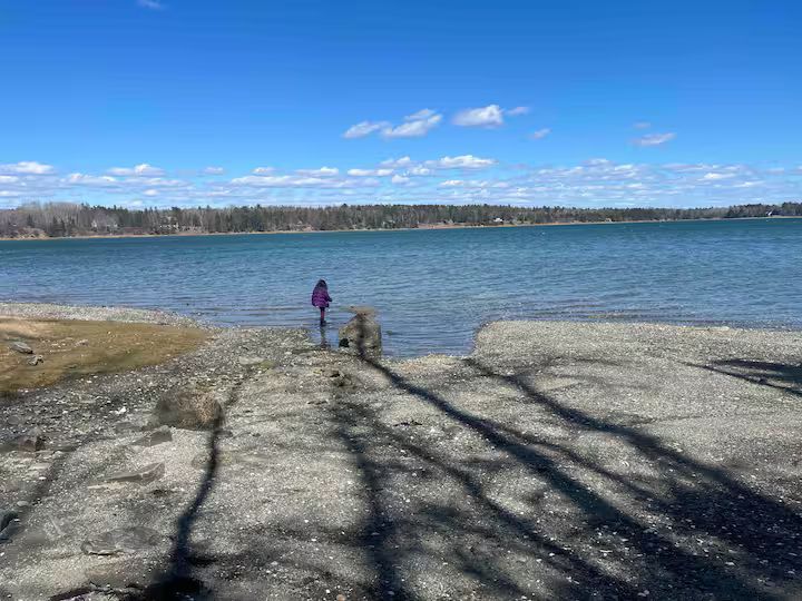 Person in a purple jacket standing by a rocky lakeshore under a blue sky.