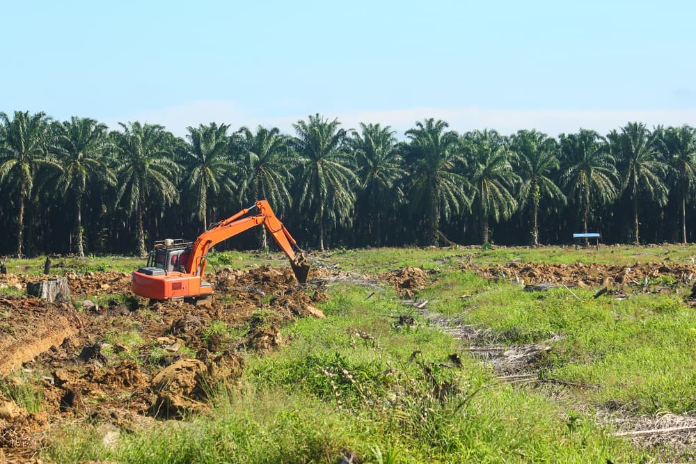 Excavator Digging In The Field - Tree Services In Newcastle, NSW